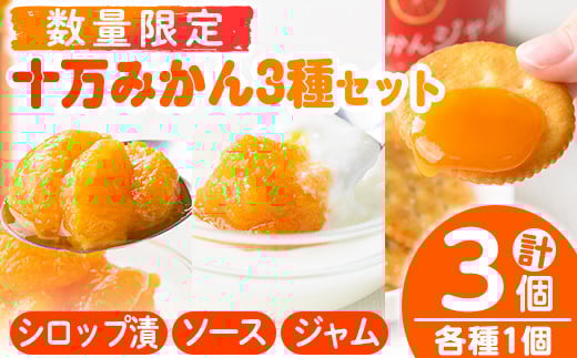 s523 ≪毎月数量限定≫十万みかん加工品3種セット(シロップ漬け・ソース・ジャム各1個・計3個) 鹿児島 国産 九州産 フルーツ 柑橘 ミカン 蜜柑 調味料 シロップ漬 果実【田野農園】鹿児島県