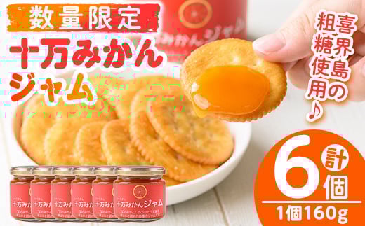 s517 ≪毎月数量限定≫十万温州みかんジャム(計6個・1個160g) 鹿児島 国産 九州産 フルーツ 柑橘 ミカン 蜜柑 調味料【田野農園】鹿児島県さつま町15000果物・フルーツみかん・柑橘類