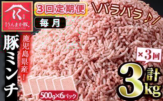 s582-A 【毎月・定期便3回】鹿児島うんまか豚ミンチ(計9kg・500g×6P×3回)【肉の寺師】鹿児島県さつま町31000肉豚肉