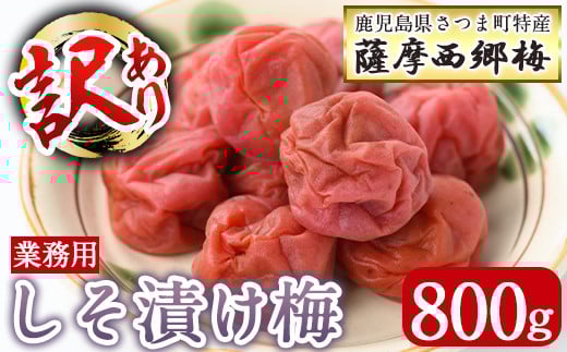 s579 <訳あり・業務用>薩摩西郷梅しそ漬け梅(800g)まろやか 南高梅 梅 梅干し うめぼし 紫蘇 しそ 粒 大きい 業務用 訳あり 簡易包装 常温【薩摩西郷梅生産組合】鹿児島県さつま町6500鍋セッ