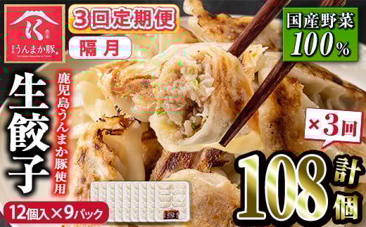 s602-B 【隔月・定期便3回】タレ付き!鹿児島うんまか豚生餃子(計108個・12個入り×9P×3回) 鹿児島 冷凍 にんにく・ニラ不使用 国産野菜100% ぎょうざ 餃子 ギョーザ 焼き餃子 水餃子 生餃子 お