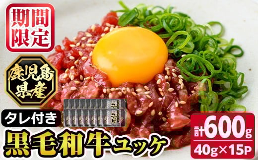 s705 《数量限定!》鹿児島県産黒毛和牛ユッケ(計600g・40g×15パック) 鹿児島 国産牛 九州産 牛肉 黒牛 生食用 小分け 冷凍 ユッケ 黒毛和牛 牛 【カミチク】鹿児島県さつま町25000肉牛肉