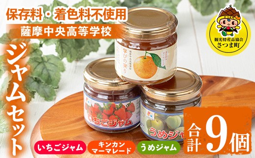 s715 薩摩中央高校ジャムセット(150g×3個×3種・合計9個) 鹿児島 加工食品 果物 詰め合わせ 梅 うめ ハンドメイド ジャム マーマレード ギフト 手作り 【一社)さつま町観光特産品協会】鹿児島