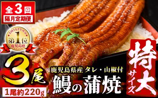 s734 【隔月・定期便3回】\特大サイズ/ 鹿児島県産 鰻蒲焼真空セット!(計約1.98kg・約220g×3尾×3回) タレ・山椒付! 鹿児島 九州産 国産 うなぎ ウナギ 鰻 土用の丑の日 蒲焼き うな重 ひつ