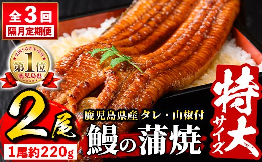 s732 【隔月・定期便3回】\特大サイズ/ 鹿児島県産 鰻蒲焼真空セット!(計約1.32kg・約220g×2尾×3回) タレ・山椒付! 鹿児島 九州産 国産 うなぎ ウナギ 鰻 土用の丑の日 蒲焼き うな重 ひつ