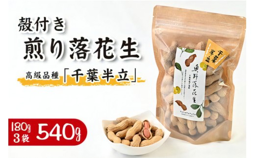 _ kt藎Ԑ (iutv) v540g [180g×3]bYn  䥂 Ԑ t 嗱 s[ibc 蕨 Mtg Ε t [ PY [0573]tPYs13000؁E