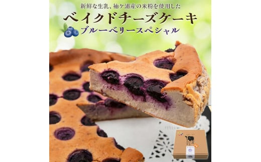 ґgbsÕxCNh`[YP[L q u[x[XyV z[ ()bĕ Oet[ `[Y P[L XC[c t[c ~N q Mtg j PY [0493]t