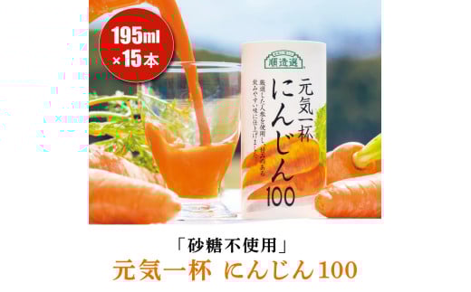 sgp ʏ`100% Ct ɂ񂶂100 195g×15{ IbY  N lQ W[X hN Je ۑ [0461]tPYs14000Eʏ`E؈