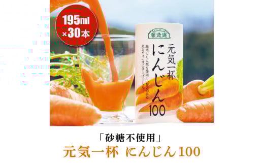sgp ʏ`100% Ct ɂ񂶂100 195g×30{ IbY  N lQ hN Je ۑ [0430ch]tPYs26000Eʏ`E؈