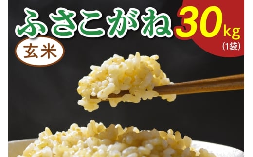 ߘa7NxY ӂˁsāt30kg (1)b   ٓ PY t [0520]tPYs81000āEpāEGāEāE