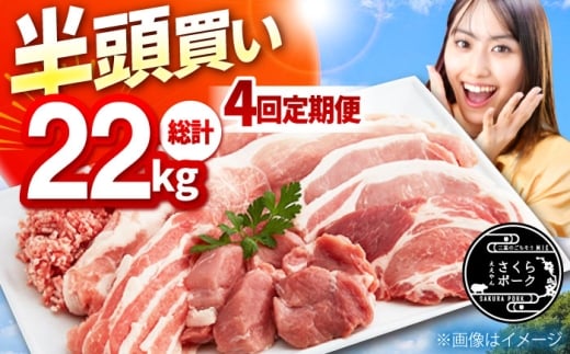 y؂uAvzy4ցz񂳂|[N уt@[ ؓ i22kgj TRs/уt@[ ؓ ① e  [AMAB001-1]OdTRs159000ؓ