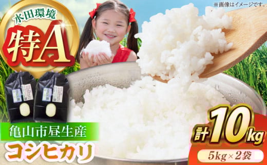 YRVqJ 5kg×2 / ӂ邳Ɣ[ŕ    / TRs / t@[ [AMBM001]OdTRs25000āEp