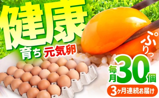 y3ցzƊCŌN炿 C v90i30×3j퉷 /  ܂ ^}S ʎq {  H Y  lC Ic Ă  / TRs / M{{{ [AMBH00