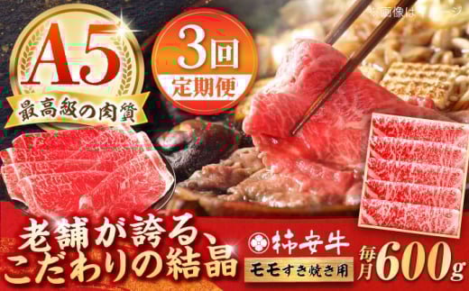 y3ցzōA5 OdYјa `  600g / Y uh  ① / TRs / `{X [AMBW006]OdTRs73000