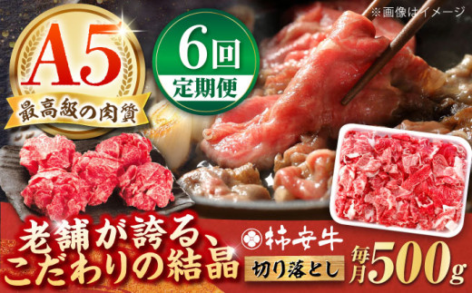 y6ցzōA5 OdY јa ` ؂藎Ƃ 500g / Y uh  ① / TRs / `{X [AMBW010]OdTRs80000