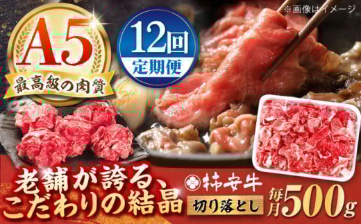 y12ցzōA5 OdY јa ` ؂藎Ƃ 500g / Y uh  ① / TRs / `{X [AMBW011]OdTRs160000