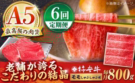 y6ցzōA5 OdY јa `  800g / Y uh  ① / TRs / `{X [AMBW013]OdTRs210000