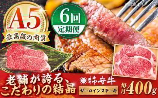 y6ցzōA5 OdY јa ` T[CXe[L 400g / Y uh  ① / TRs / `{X [AMBW022]OdTRs275000