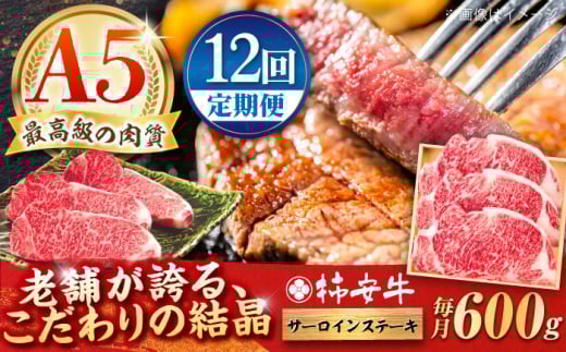 y12ցzōA5 OdY јa ` T[CXe[L 600g / Y uh  ① / TRs / `{X [AMBW026]OdTRs808000