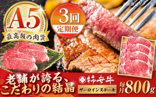 y3ցzōA5 OdY јa ` T[CXe[L 800g / Y uh  ① / TRs / `{X [AMBW027]OdTRs267000