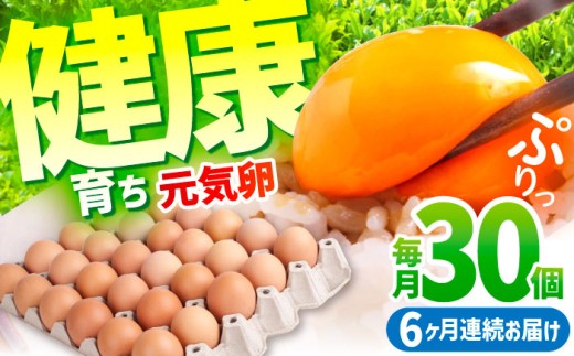 y6ցzC 180i30×6j /  N Y  ܂ VN ܂Zbg  ܂ ܂ ^}S ʎq { H Ic  Ă 6J 6 6