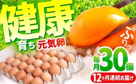 y12ցzC 360i30×12j/ 12 12J 12P  Y ܂ ^}S ʎq {  ʎqĂ Ă VN  Ic v  ƒp   Od ӂ