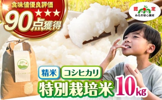 ʍ͔| ԂƂ̂  10kg@  TRs/ԂƂ̐XeX [AMAD010]OdTRs40000āEp