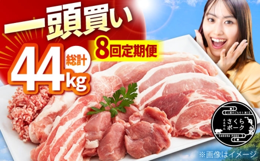 y8ցzꓪ v44kg  |[N уt@[ /TRs/уt@[ [AMAB064] / ؓ   S [X [X o  q tBOdTRs304000ؓ