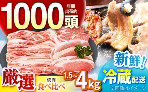 񂳂|[N  уt@[  ؓ ē Zbgi3kgj/ TRs/уt@[[AMAB072]OdTRs23000ؓ