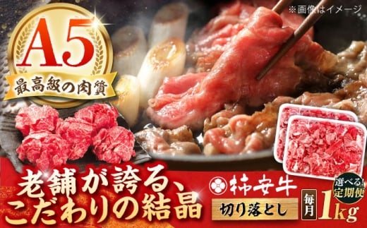 y12ցzōA5 јa ` ؂藎Ƃ 1kg TRs/`{X[AMBW037]OdTRs292000