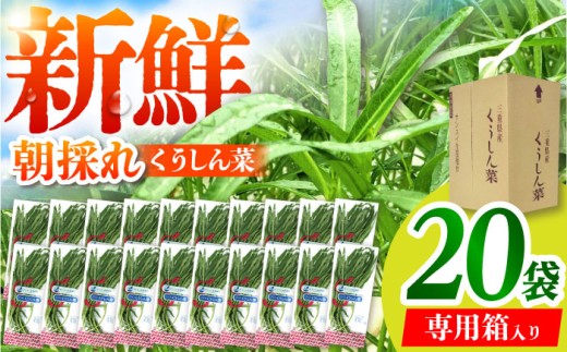 VN̂  eʃpbN 20 / TRs / O[nEXgc [AMCD001]OdTRs12000؁Ê̑ 