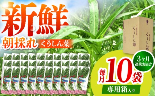 y3ցzVN̂  v30 / TRs / O[nEXgc [AMCD003]OdTRs22000؁Ê̑ 