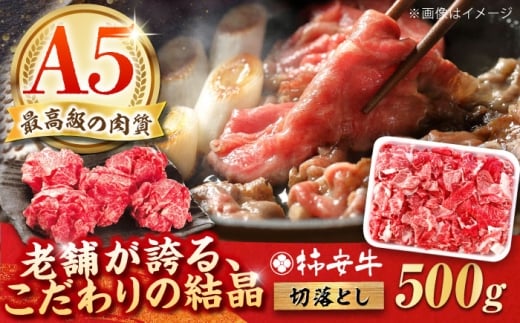 【2026年2月発送】最高級A5等級 柿安牛 牛肉 切り落とし 500g 三重県産 黒毛和牛 / 人気 a5 肉 切り落とし 国産 おすすめ 牛肉 冷蔵 国産牛肉 和牛 牛肉切り落とし 切り落とし肉 牛肉 冷蔵 カレー