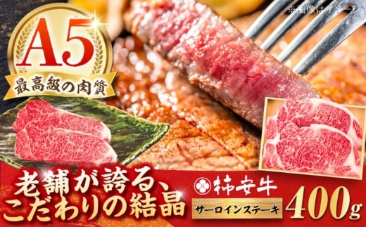 y2026N2zōA5 OdY јa ` T[CXe[L 400g / Y uh  ① / TRs / `{X [AMBW018-2]OdTRs46000