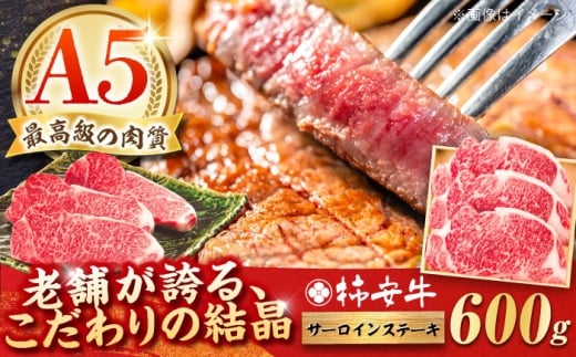 【2025年11月発送】最高級A5等級 三重県産 黒毛和牛 柿安牛 サーロインステーキ 600g (200g×3枚)/ サーロイン ステーキ 国産 和牛 さーろいんすてーき ステーキ 3枚 希少 牛肉 赤身 すてーき ス