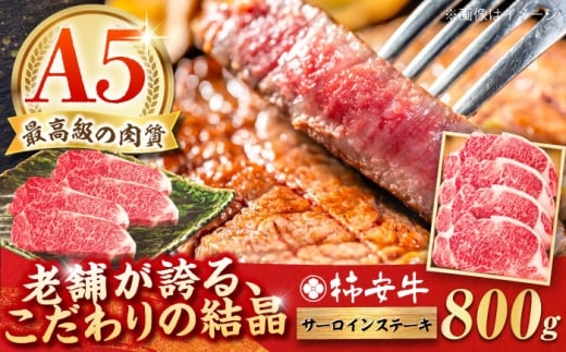 y2026N1zōA5 OdY јa ` T[CXe[L 800g / Y uh  ① / TRs / `{X [AMBW020-1]OdTRs89000