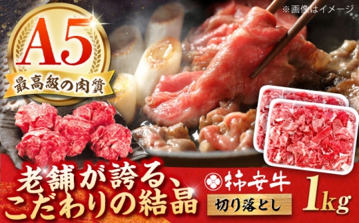 y2025N10zōA5 `  ؂藎Ƃ 1kg (500g × 2P)  / Od / TRs / `{X [AMBW033] / ؂藎Ƃ Ԑg ؂藎Ƃ   ؂藎Ƃ  uh a 