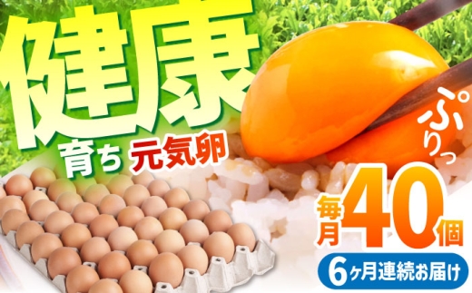 yS6ցzƊCŌN炿 C 240i40×6j / ܂ ^}S ʎq { / TRs / M{{{ [AMBH007]OdTRs45000Eii{AG{j