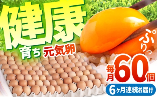 yS6ցzƊCŌN炿 C 360i60×6j / ܂ ^}S ʎq { / TRs / M{{{ [AMBH010]OdTRs59000Eii{AG{j