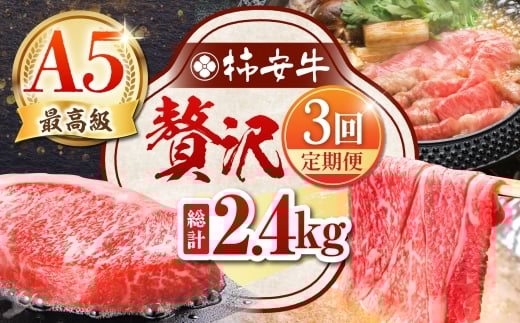 y3ցz ōA5 OdYјa ` ґ v2.4kg TRs/`{X [AMBW041]OdTRs181000