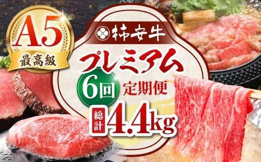 y6ցz ōA5 OdYјa ` v~A v4.4kg TRs/`{X [AMBW042]OdTRs356000