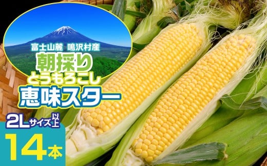 y2026N7`zxmR[ 򑺎Y ̂ Ƃ낱ybX^|z14{ ӂ邳Ɣ[  R   NSH004R14000؁ÊƂ낱