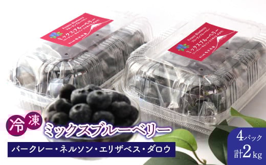 鳴沢村産冷凍ミックスブルーベリー(バークレー・ネルソン・エリザベス・ダロウ)500g×4パック NSAL006山梨県鳴沢村22000果物・フルーツその他 果物・フルーツ