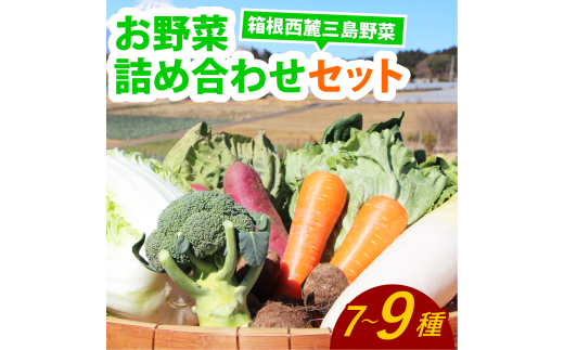「箱根西麓三島野菜ブランド」 新鮮なお野菜 約7~9品 旬の野菜 新鮮 詰め合わせ セット 野菜セット 季節の野菜 三島野菜 地元産 人参 白菜 キャベツ 静岡 三島静岡県三島市10000野菜・きのこ