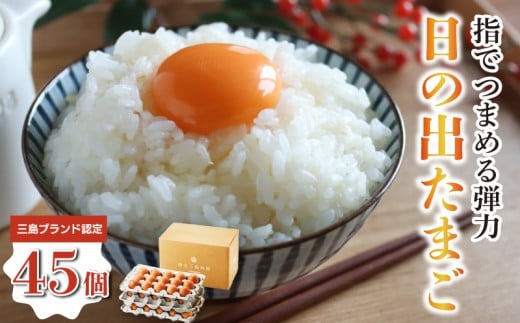 日の出たまご 45個入り 卵 たまご 生卵 玉子 箱根西麓 三島 ブランド 濃厚 黄身 養鶏 朝食 料理 お菓子作り 平飼い 飼料 富士 伏流水 ぷっくり 弾力 たまごかけごはん 三島市 静岡県静岡県三
