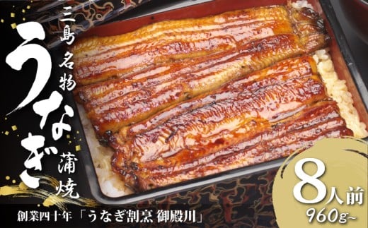 静岡 名産 うなぎ 蒲焼 8人前 960g〜 冷蔵 三島名物 うなぎ屋 真空パック 御殿川 土用丑の日 晩ごはん 家族 惣菜 鰻 ウナギ 蒲焼き うな重 うな丼 うなぎ蒲焼 鰻蒲焼 たれ 贈答品 ギフト お取り