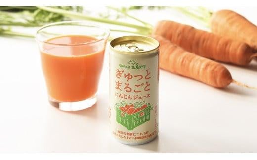 にんじん 100% ジュース 190g 30本 セット 野菜ジュース 人参 箱根西麓 国産 濃厚 甘味 朝食 贈り物 ギフト 三島市 静岡県静岡県三島市20000お茶・飲料果汁・野菜飲料