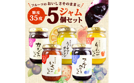 糖度35度 ジャム 5種セット 5種各1個 ブルーベリー イチゴ ニューサマー オレンジ カシス りんご フルーツ 贈答用 プレゼント 果実 高糖度 手作り 朝食 パン トースト ヨーグルト 贅沢 スイー