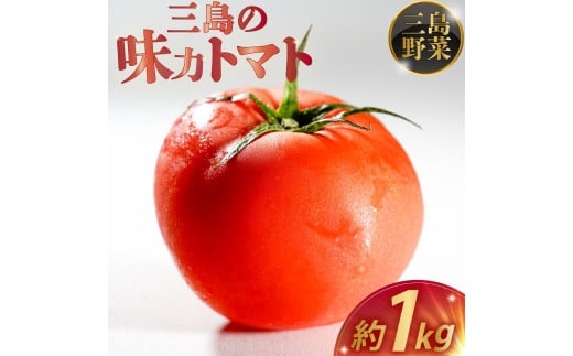 \t O̖̓g}g 1kg n x t[cg}g Ƃ܂ p 1~ȉ Yn Y ̂ VN T_ W[X ₵g}g Ė  O Os É