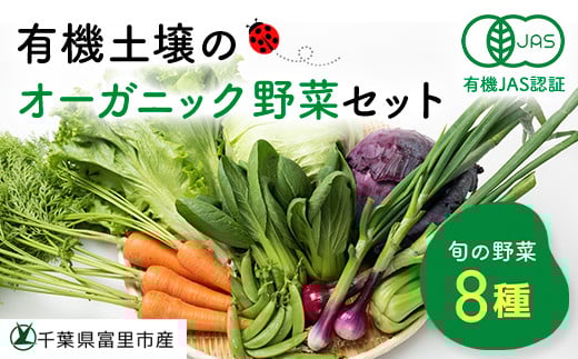 有機土壌で作る旬のオーガニック野菜セット(8品)TMT001千葉県富里市10000野菜・きのこその他 野菜